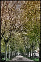 /album/street-photo-%c3%b9/dsc-0011-jpg1/