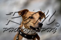 /album/animali-e-natura/dsc-0023-jpg/