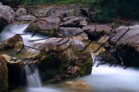 /album/animali-e-natura/dsc-0125-jpg/