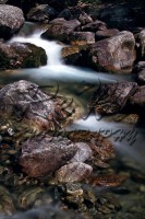 /album/animali-e-natura/dsc-0130-jpg1/