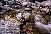 /album/animali-e-natura/dsc-0020-jpg/