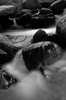 /album/animali-e-natura/dsc0025-jpg/