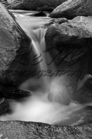 /album/animali-e-natura/dsc0030-jpg/