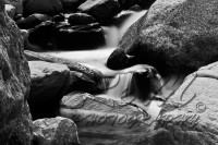 /album/animali-e-natura/dsc0024-jpg/