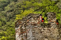 /album/eventi-e-manifestazioni/barge4-jpg/