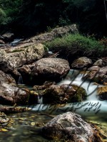 /album/animali-e-natura/dsc-0127-jpg/