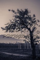 /album/paesaggi/a181112-0034-jpg/