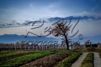 /album/paesaggi/a181112-0036-jpg/