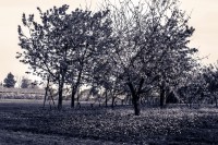 /album/paesaggi/a181112-0002-jpg/