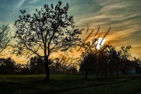 /album/paesaggi/a181112-0005-jpg/