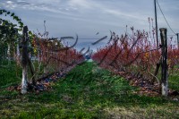 /album/paesaggi/a181112-0022-jpg/