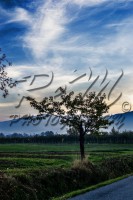 /album/paesaggi/a181112-0026-jpg/