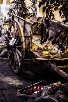 /album/eventi-e-manifestazioni/a0089-jpg/