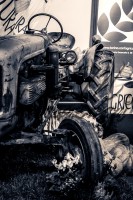 /album/eventi-e-manifestazioni/dsc-0024-jpg/