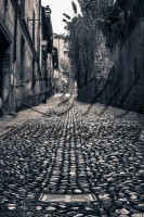 /album/street-photo-%c3%b9/a251112-0159-jpg/