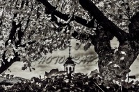 /album/paesaggi/a251112-0181-jpg/