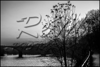 /album/paesaggi/dsc-5121-0178-jpg/