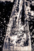 /album/still-life/dsc-5256-0101-jpg/