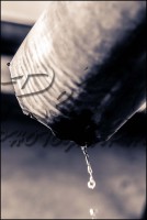 /album/still-life/dsc-5234-0079-jpg/